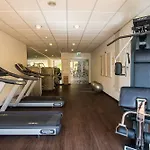 Ap Oriental - Adults Friendly